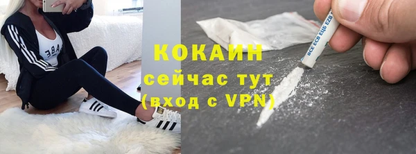 ПСИЛОЦИБИНОВЫЕ ГРИБЫ Дубовка