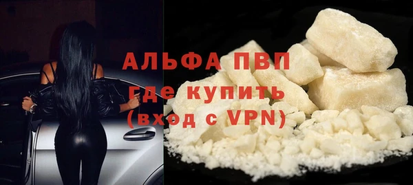ПСИЛОЦИБИНОВЫЕ ГРИБЫ Дубовка