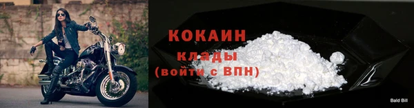 сатива Дубна