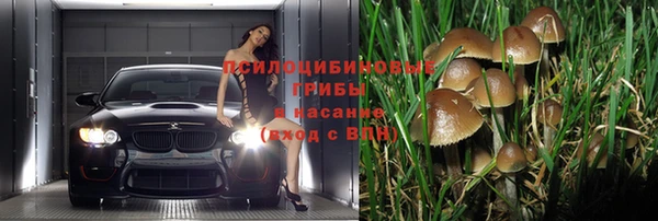 каннабис Волоколамск