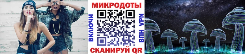 Галлюциногенные грибы мухоморы  Мещовск 